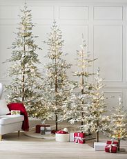 A group of pre-lit frosted artificial Christmas trees with sparse branches