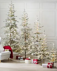 A group of pre lit frosted Christmas trees with sparse branches, softly glowing and arranged to create a simple, wintry display.