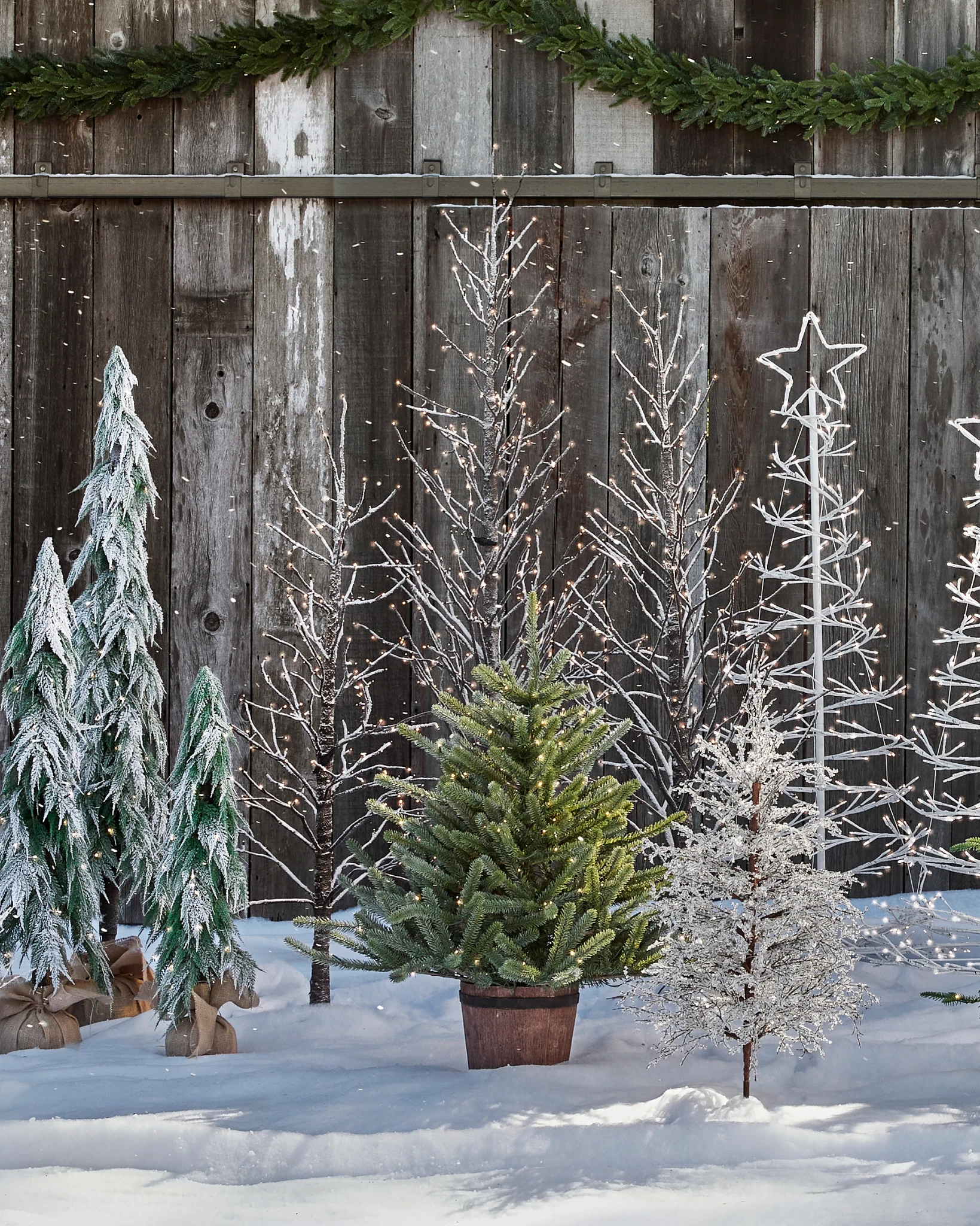 Lit Winter Birch LED Tree | Balsam Hill