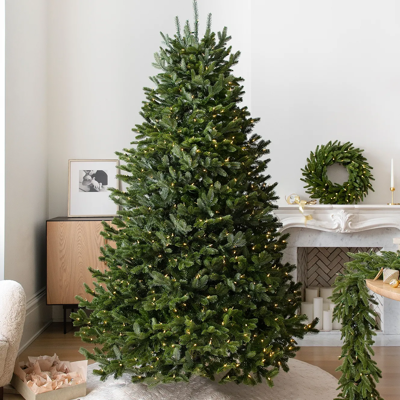 Shop Bestselling Trees