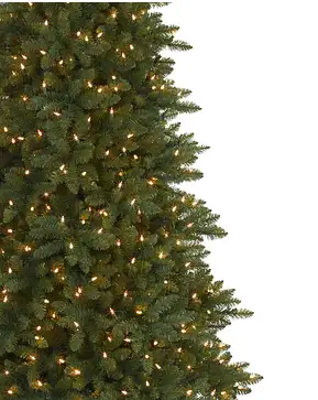 Berkshire Mountain Fir Berkshire Mountain Fir