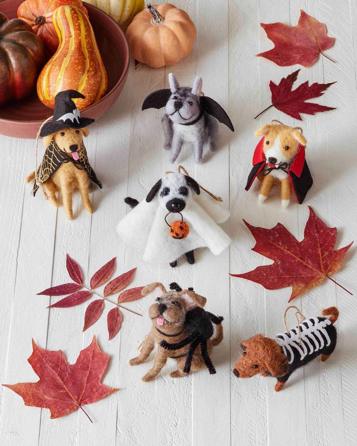 Balsam Hill Howl-O-Ween Hounds Felt Christmas Ornament Set of 6 with Fall Leaves Showcase