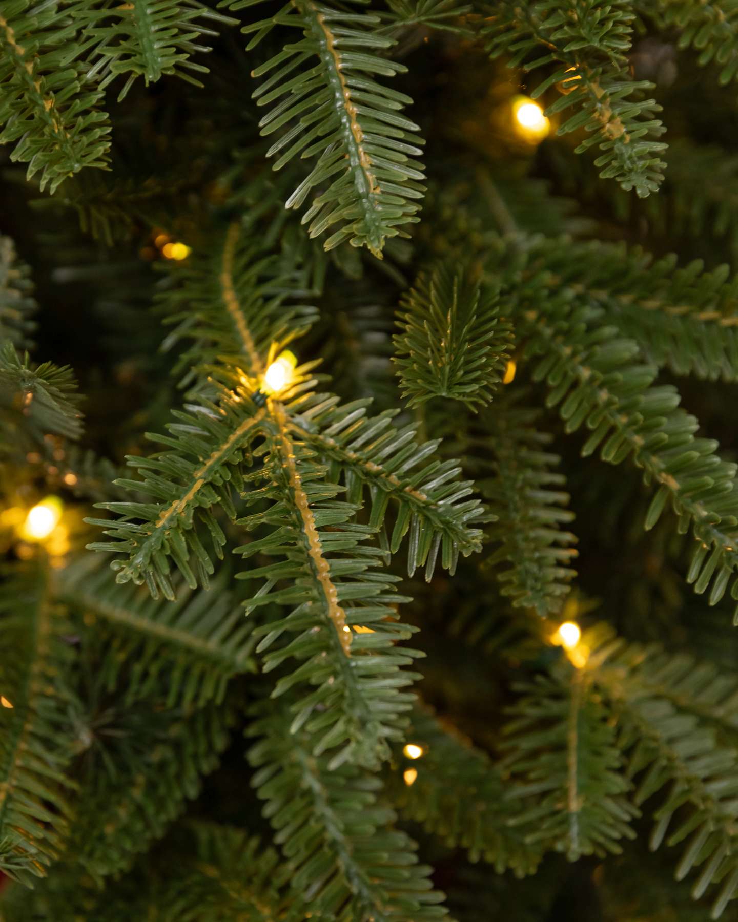 Sapin Fraser de table de 2,5 pi