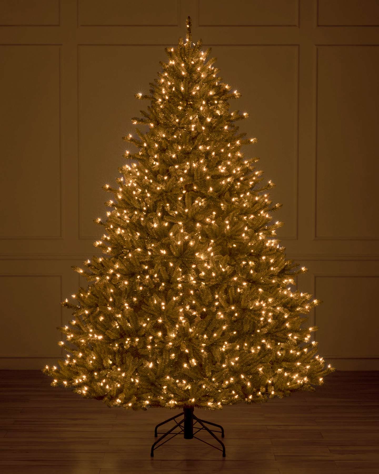 Classic Blue Spruce