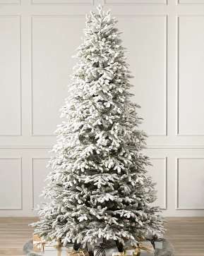 Sapin Fraser enneigé Sapin Fraser enneigé