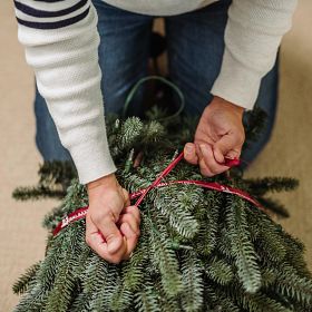 Woman tying a red ribbon around section of artificial Christmas tree