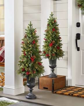 Outdoor Winter Evergreen Potted Tree Outdoor Winter Evergreen Potted Tree