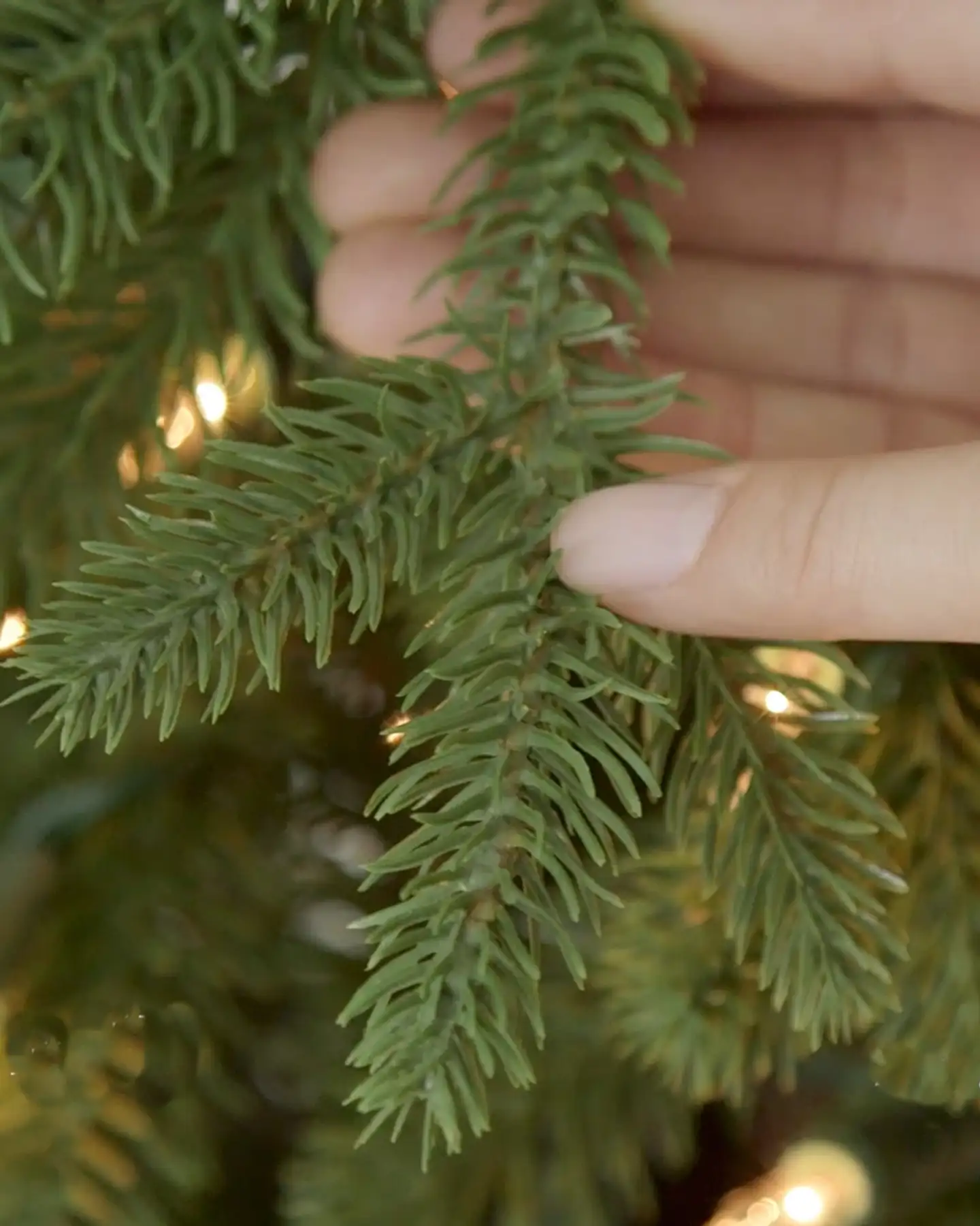 Balsam Hill Red Spruce Slim Tree