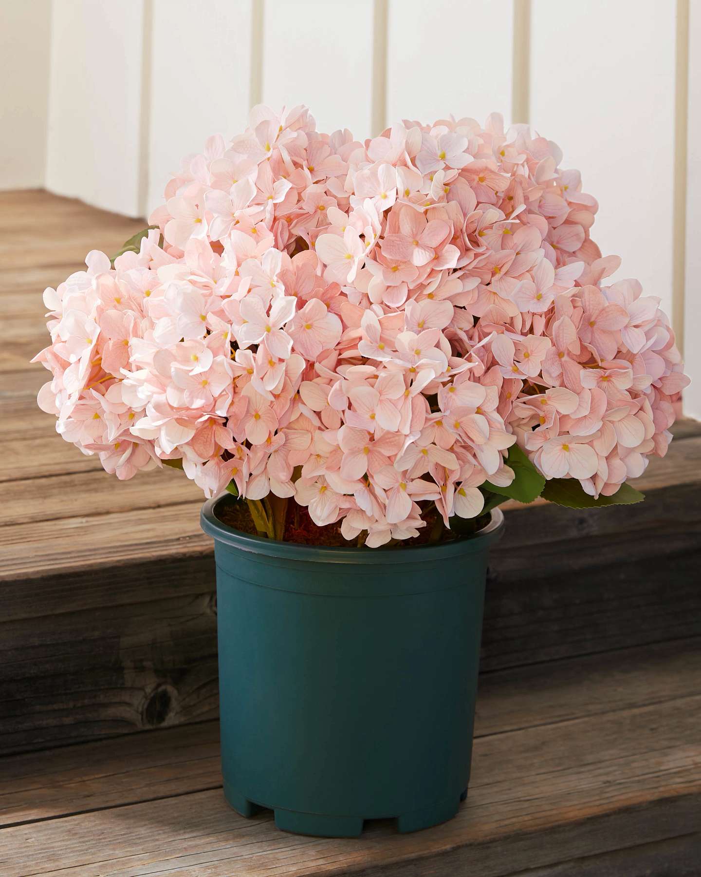 Balsam Hill Pink Outdoor Hydrangea Harmony Artificial Spring Artificial Spring Foliage 22-Inch Showcase