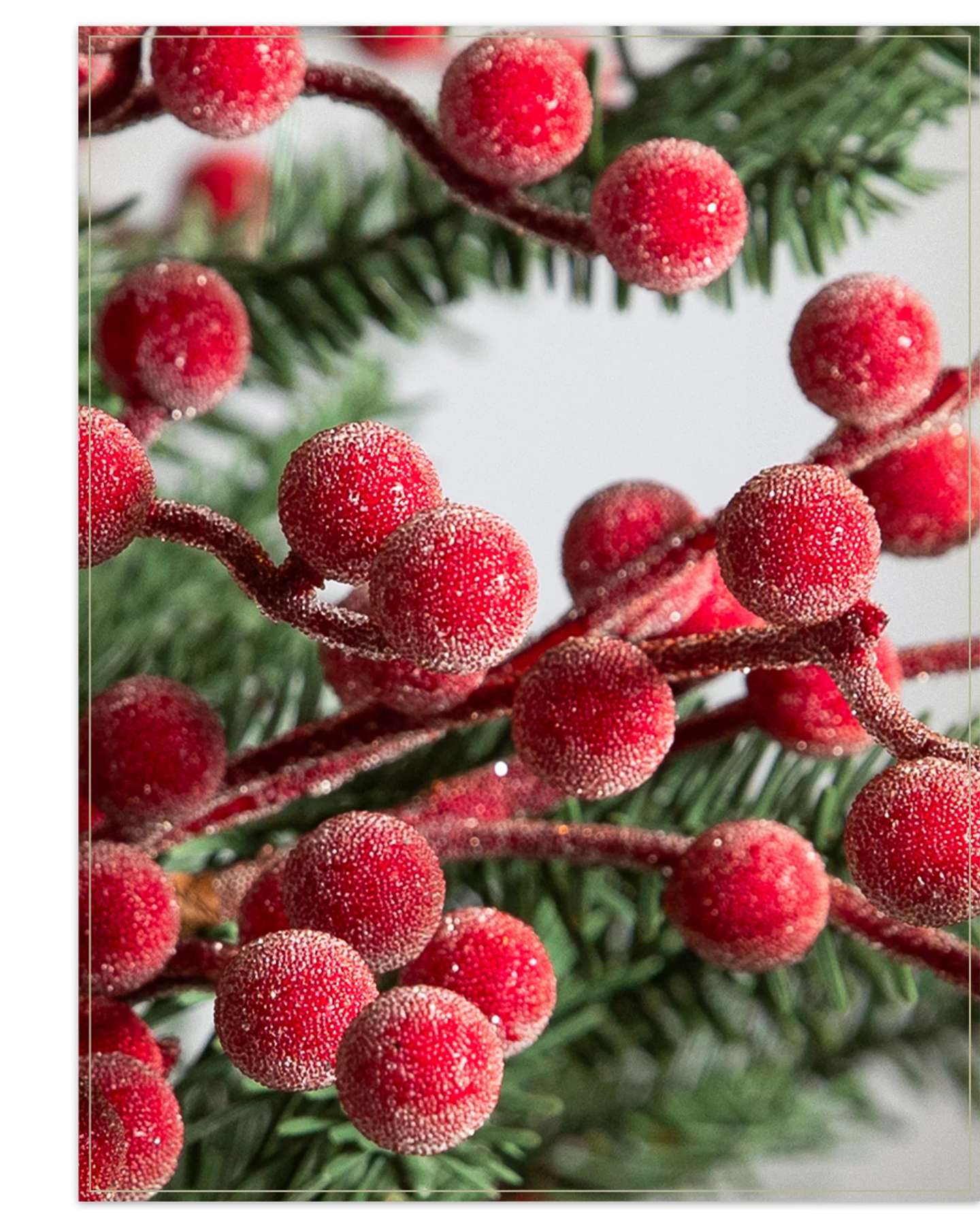 Verschneite Weihnachtszweige mit roten Beeren