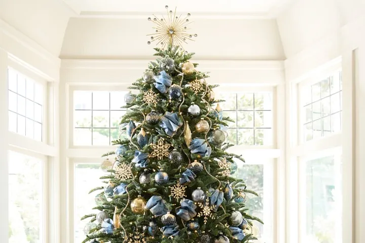 RC_Holiday-Gift-Guide_Color-Theme.webp