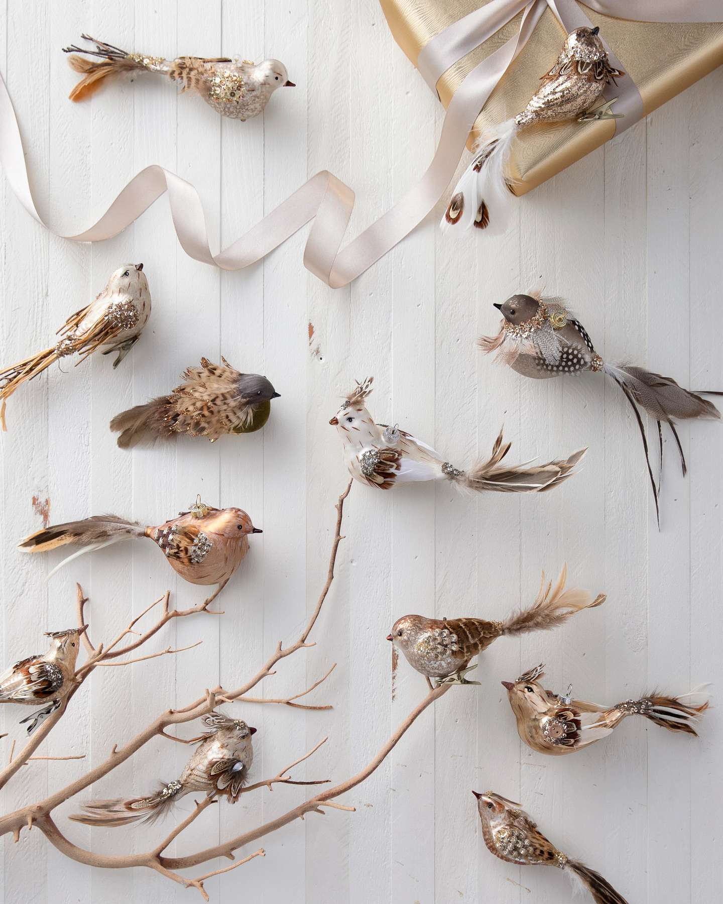 Balsam Hill Feathered Friends Christmas Ornament Set of 12 with Gift Box and Tree Branch Display