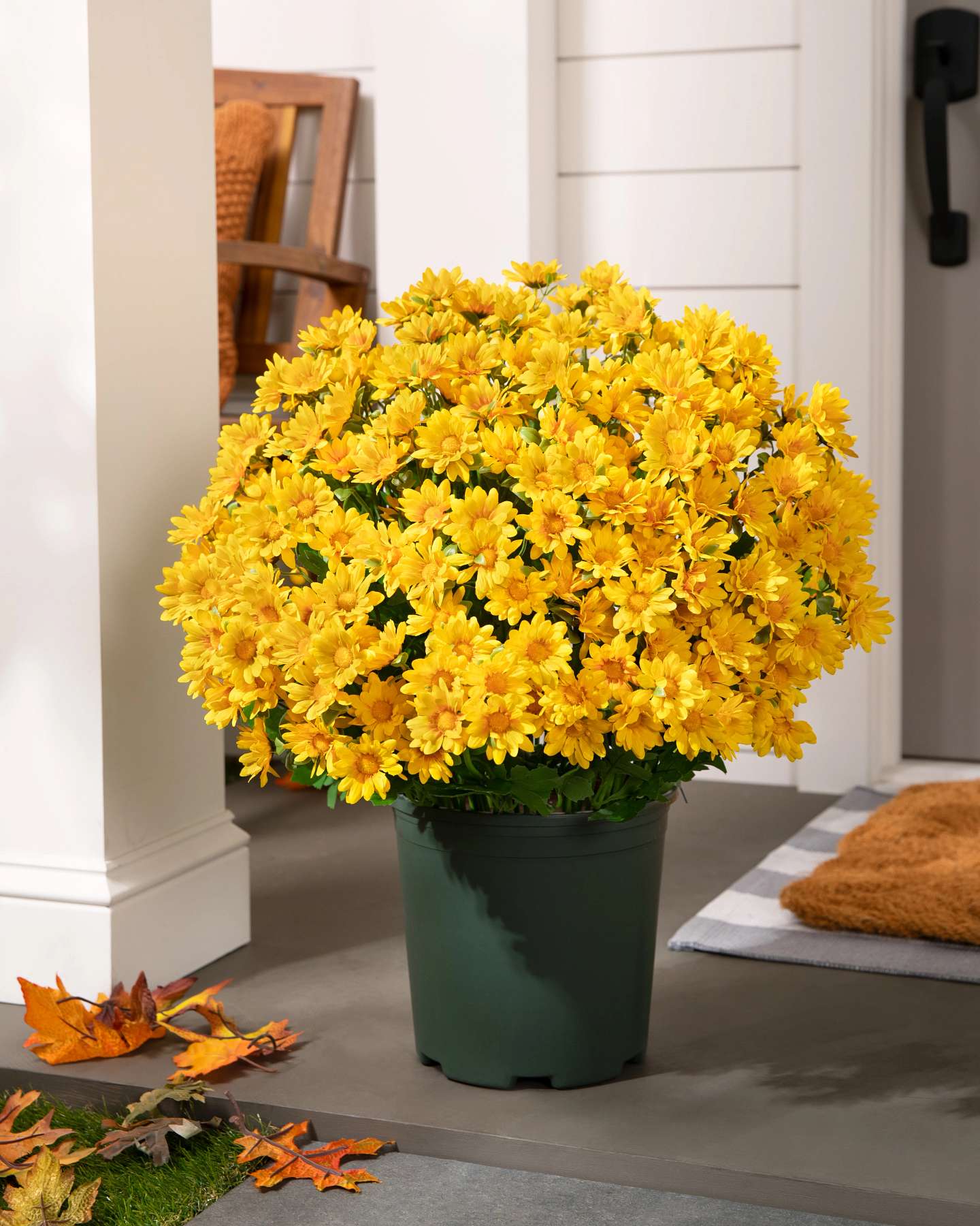 Balsam Hill Gold Outdoor Sunset Mums Potted Artificial Fall Foliage 20-Inch Dipsplayed on Front Porch