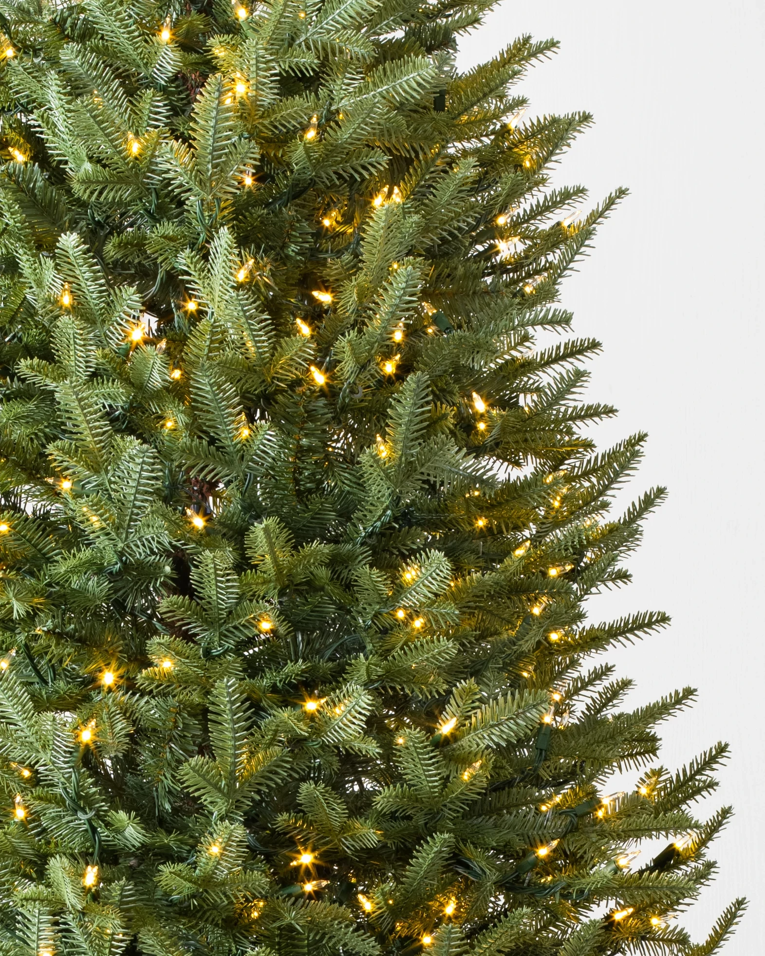 BH Balsam Fir Narrow