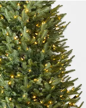 BH Balsam Fir Narrow BH Balsam Fir Narrow