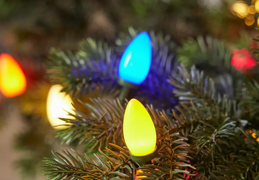 Vintage C7 LED Lights