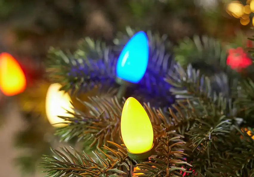 Vintage C7 LED Lights