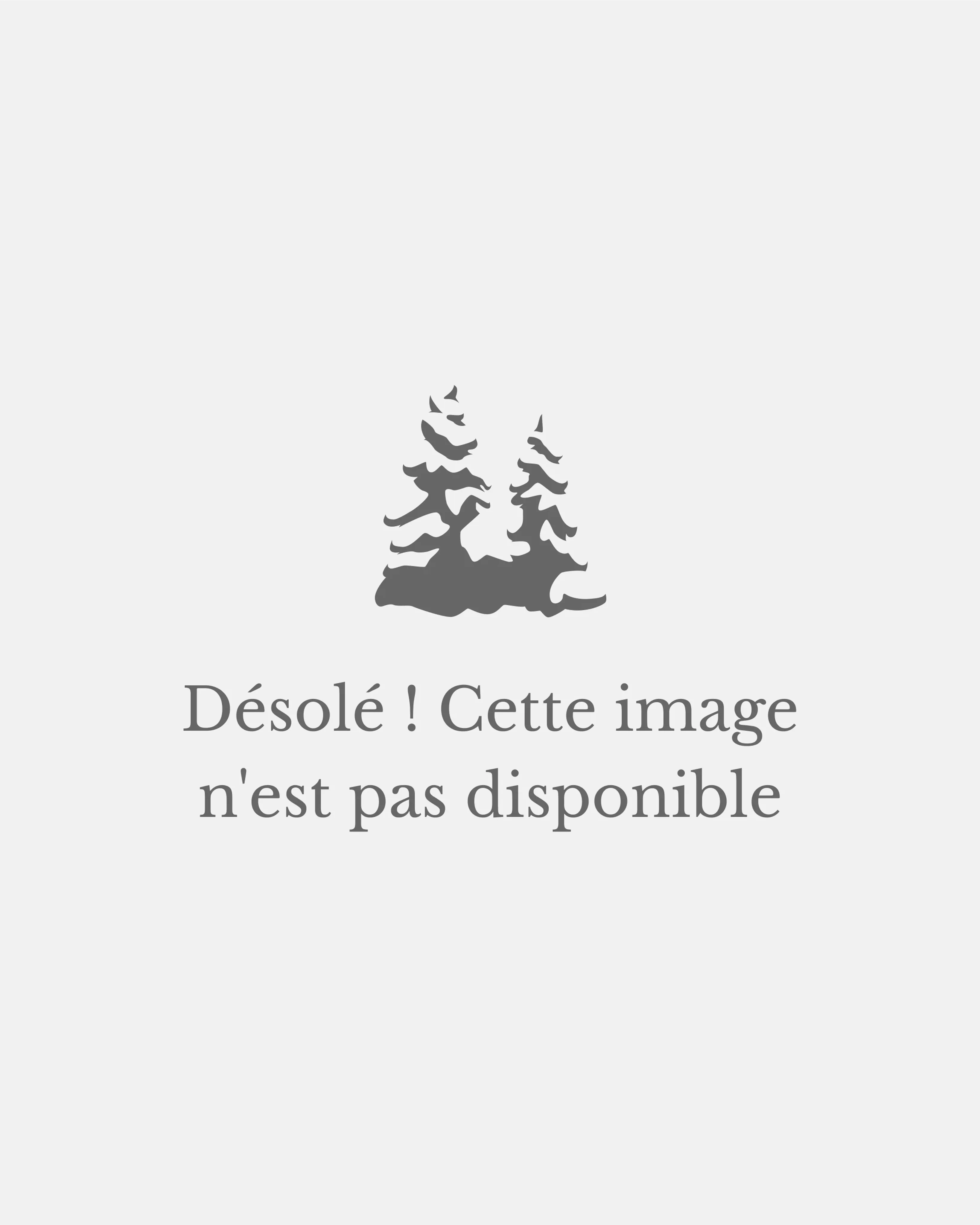 Guirlande d'extérieur en sapin Guirlande d'extérieur en sapin