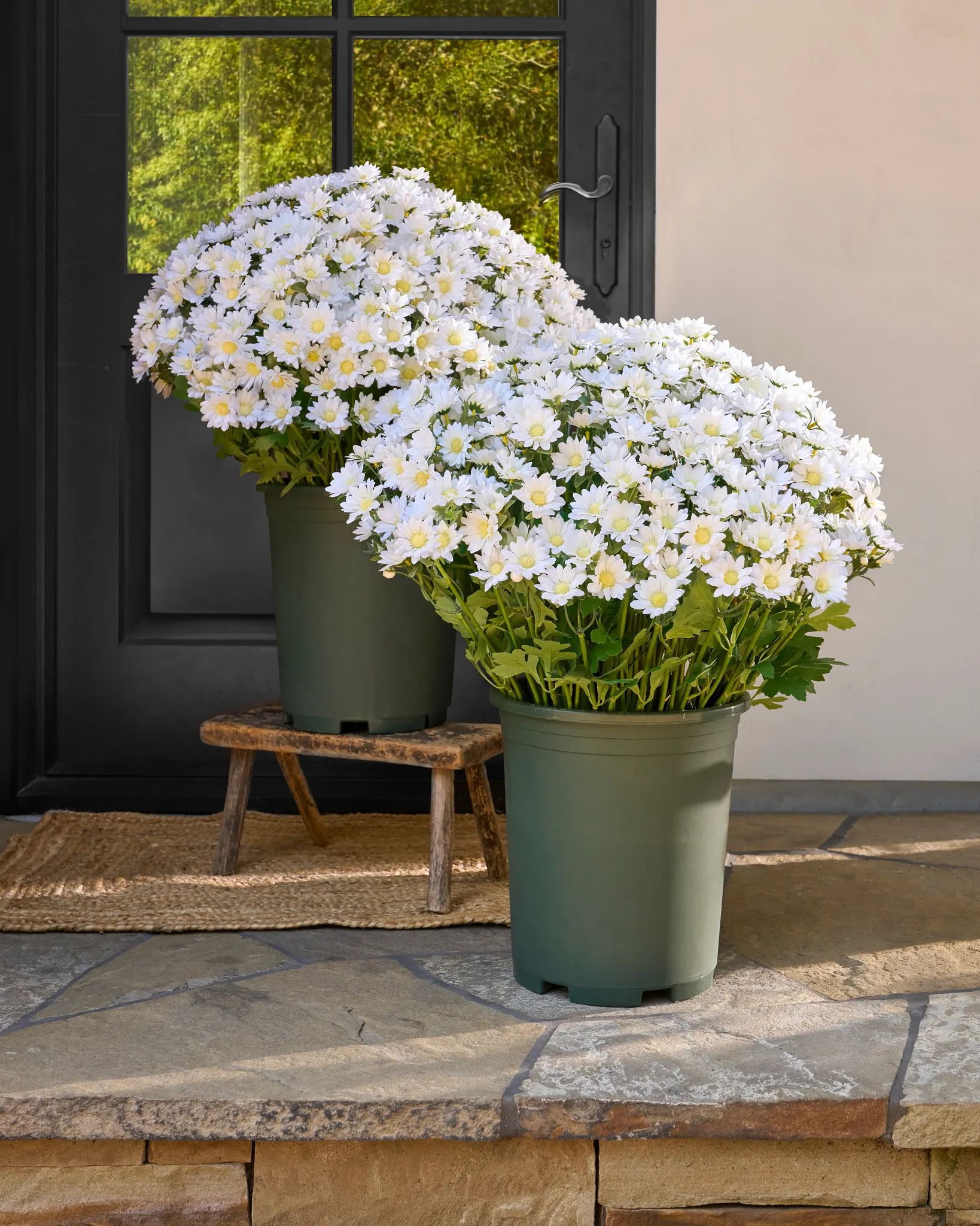 Spring Summer Artificial Flower Bouquet - 5 Bundles Of 25 Stems, 24 Inch, Pink White Daisies & Greenery - View #7