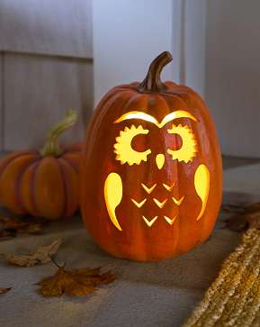 Outdoor Lit Owl-o'-Lantern Outdoor Lit Owl-o'-Lantern