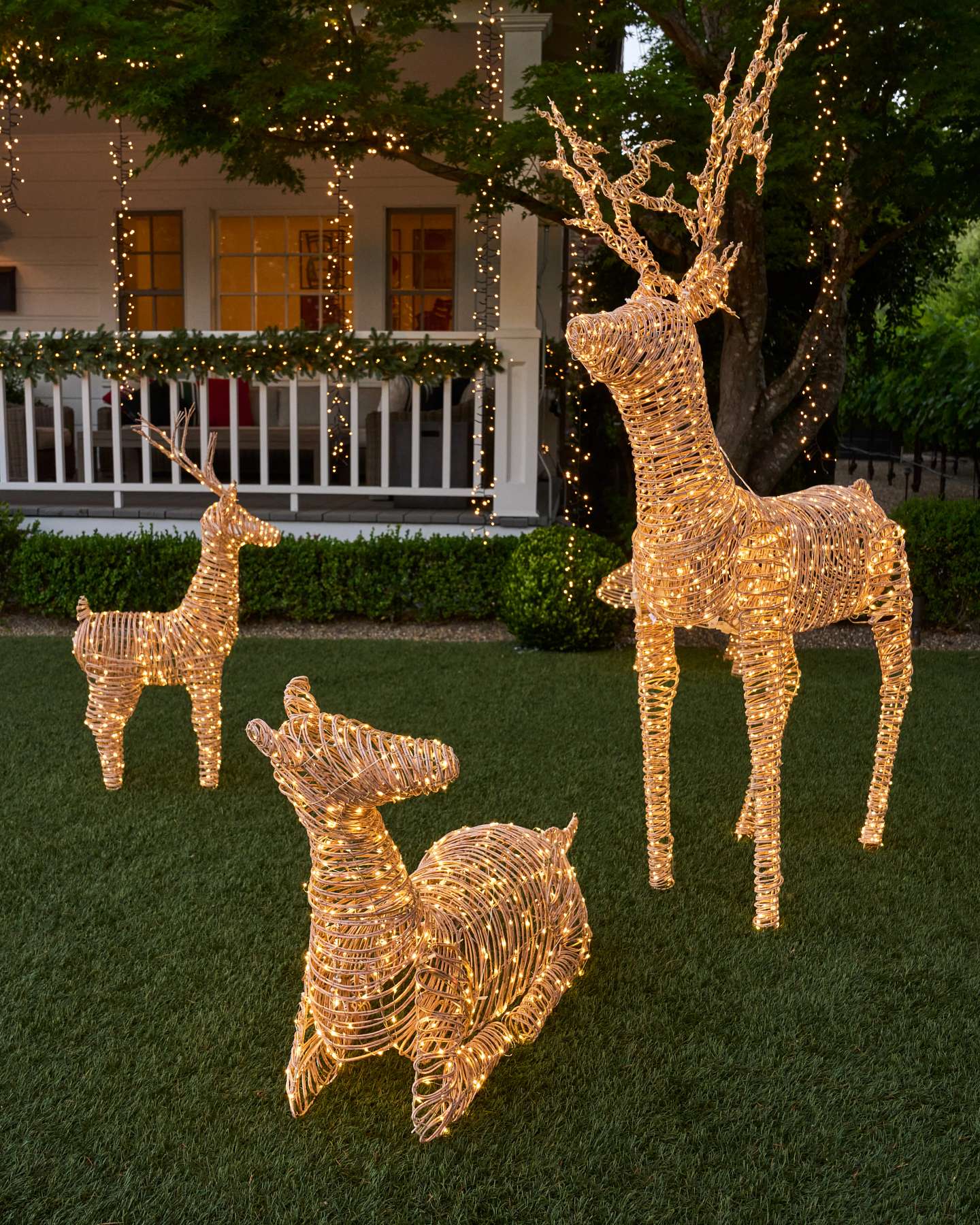 Outdoor Lit All-Weather Wicker Mama Reindeer