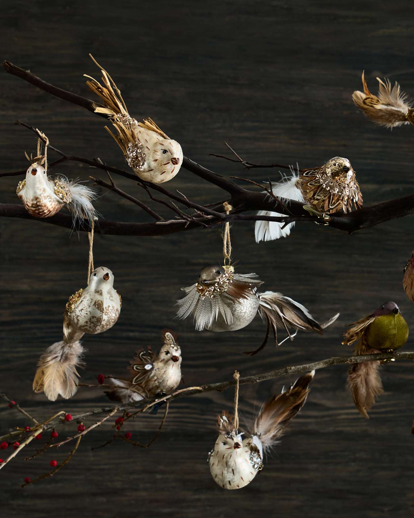Balsam Hill Feathered Friends Christmas Ornament Set Lifestyle Display with Wooden Background