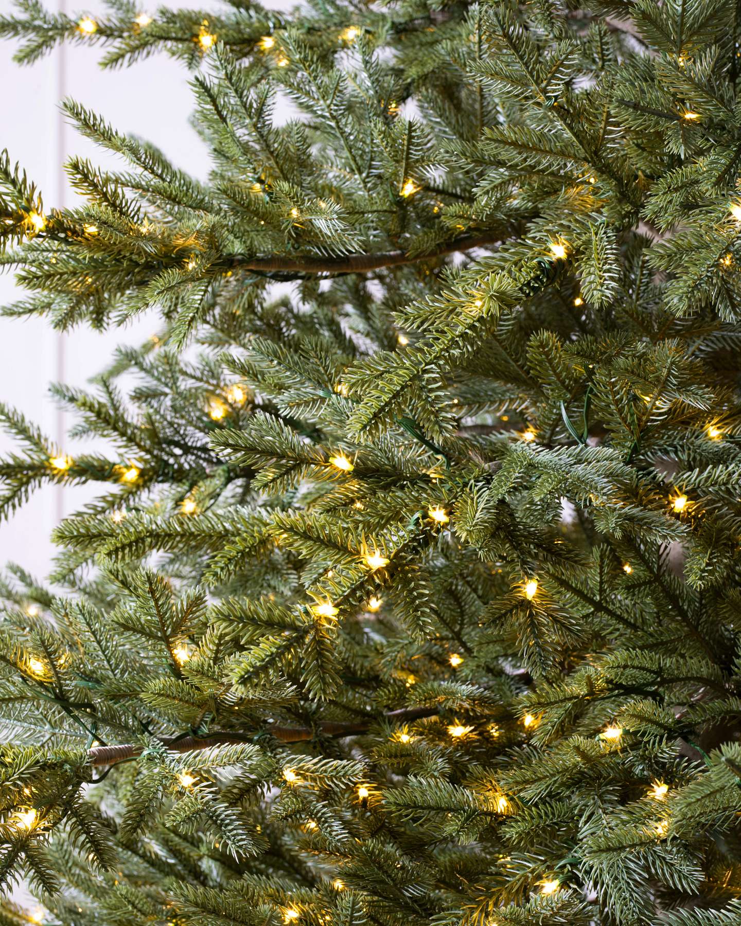 Sugarlands Spruce Wide