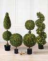 Battery-Operated Boxwood Double by Balsam Hill