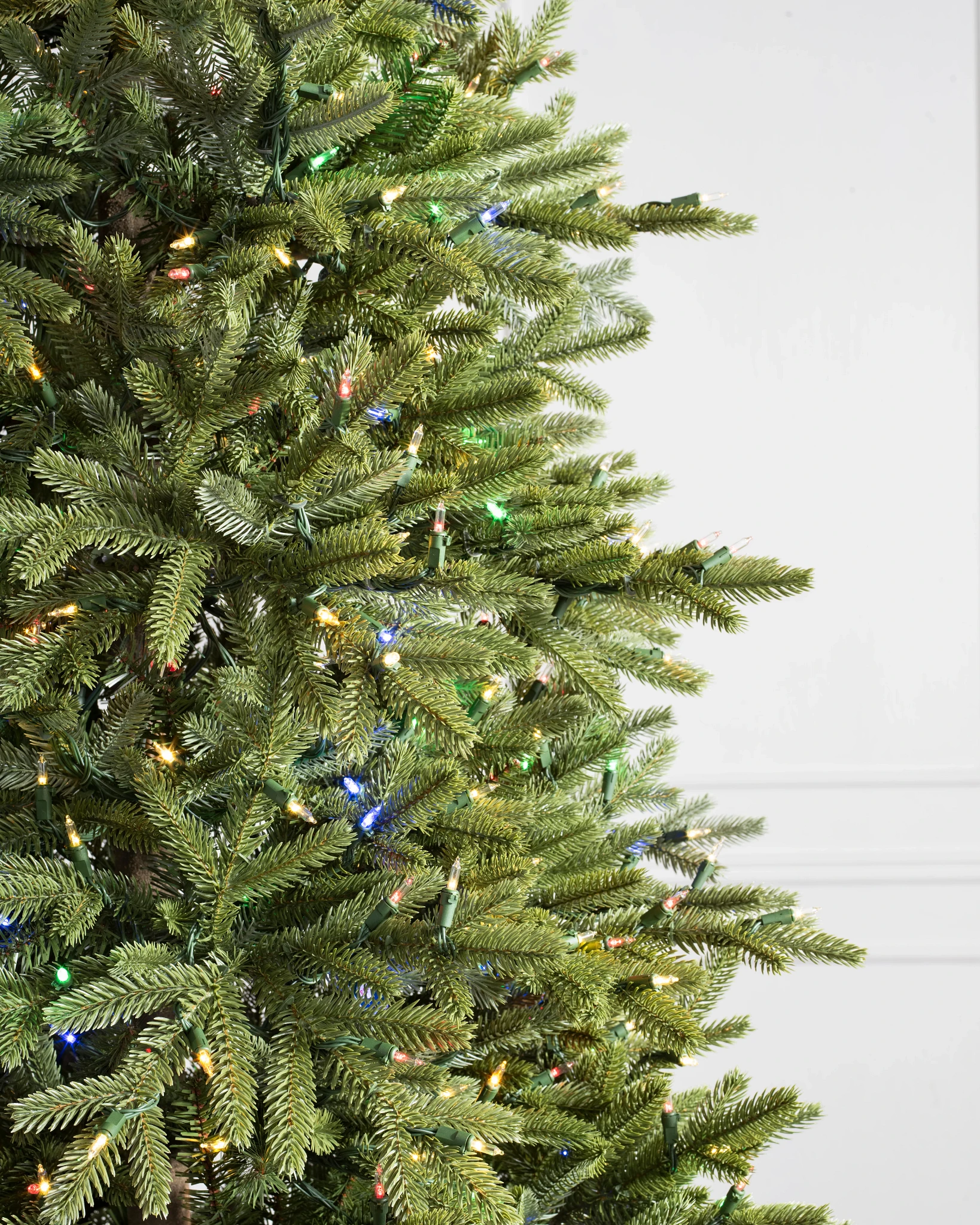 BH Norway Spruce