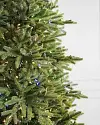 BH Norway Spruce Color+Clear LED Closeup 10 by Balsam Hill