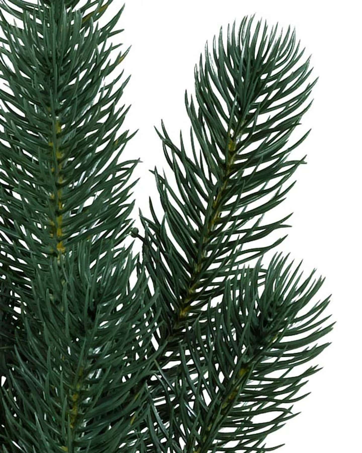 Balsam Hill Sonoma Slim Pencil Tree Detailed View of Branches