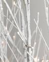 Winter Birch LED Tree Grove by Balsam Hill Closeup 10
