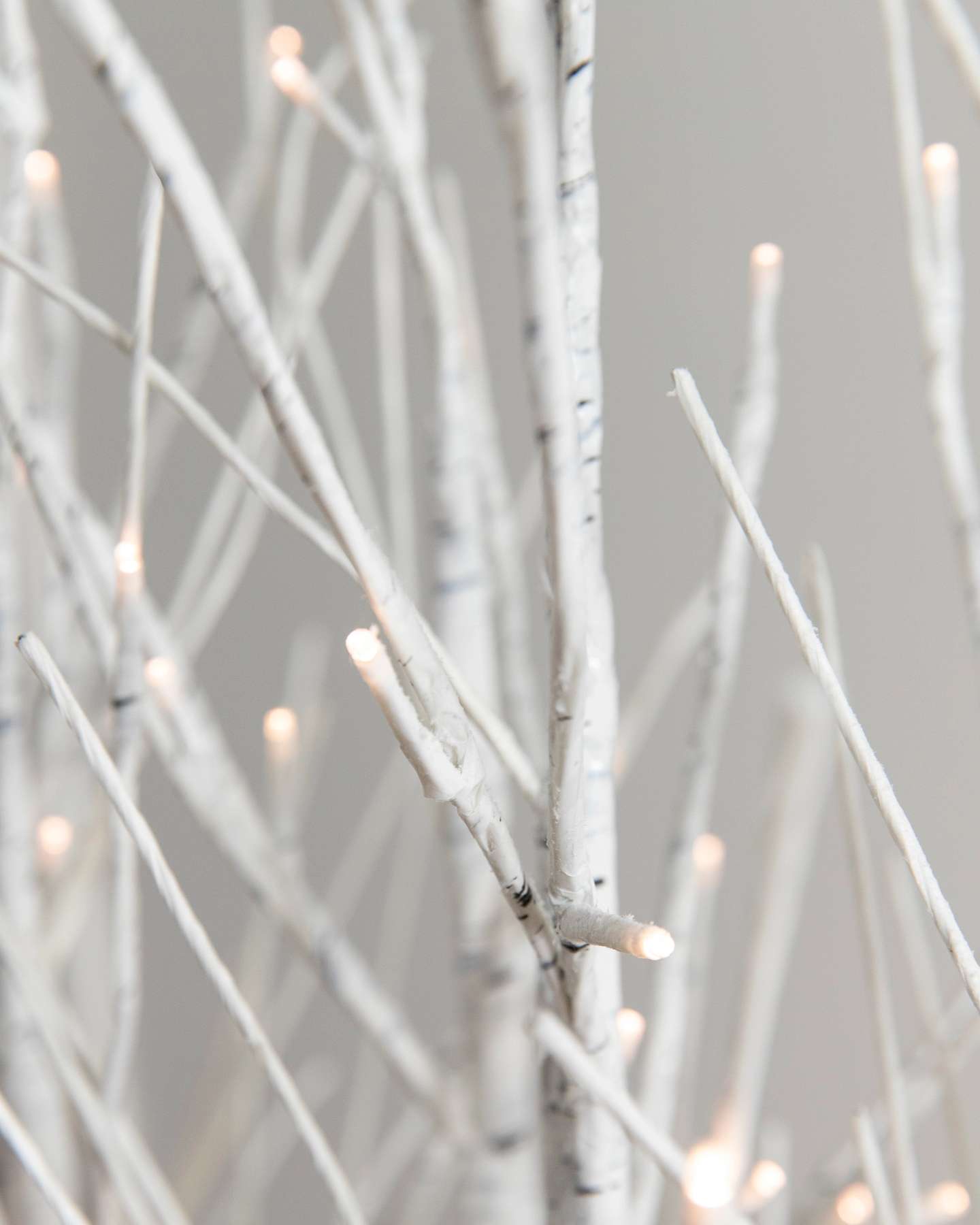 Balsam Hill Winter Birch LED Artificial Christmas Tree Grove LED Closeup View