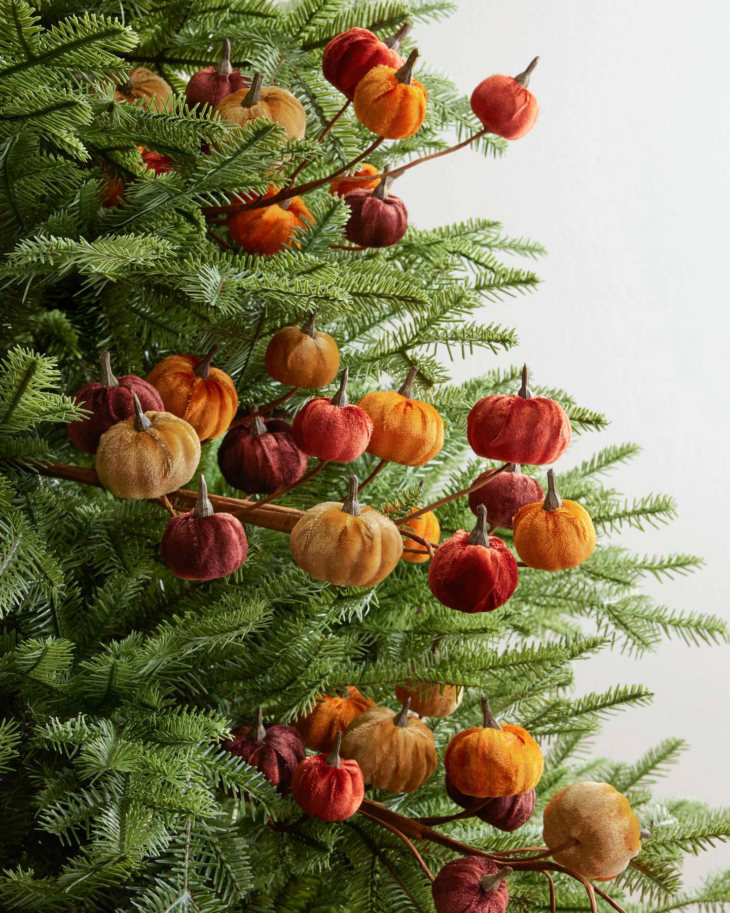 Balsam Hill Velvet Pumpkin Patch Artificial Christmas Tree Picks Full View
