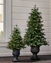 Greenwich Estates Pine Tree by Balsam Hill Lifestyle 40