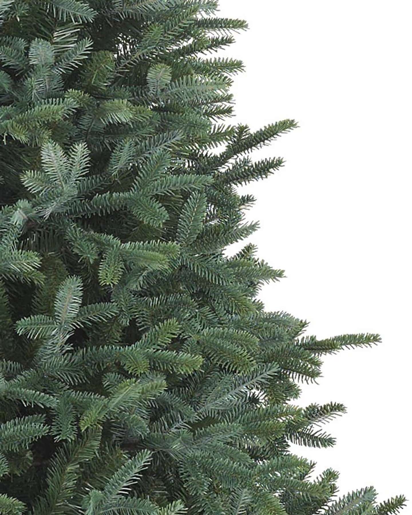 Branch Samples, Set of 16