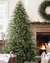 Brewer Spruce Tree by Balsam Hill Lifestyle 10