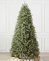 Royal Blue Spruce Main by Balsam Hill