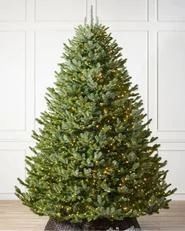 wide Christmas tree