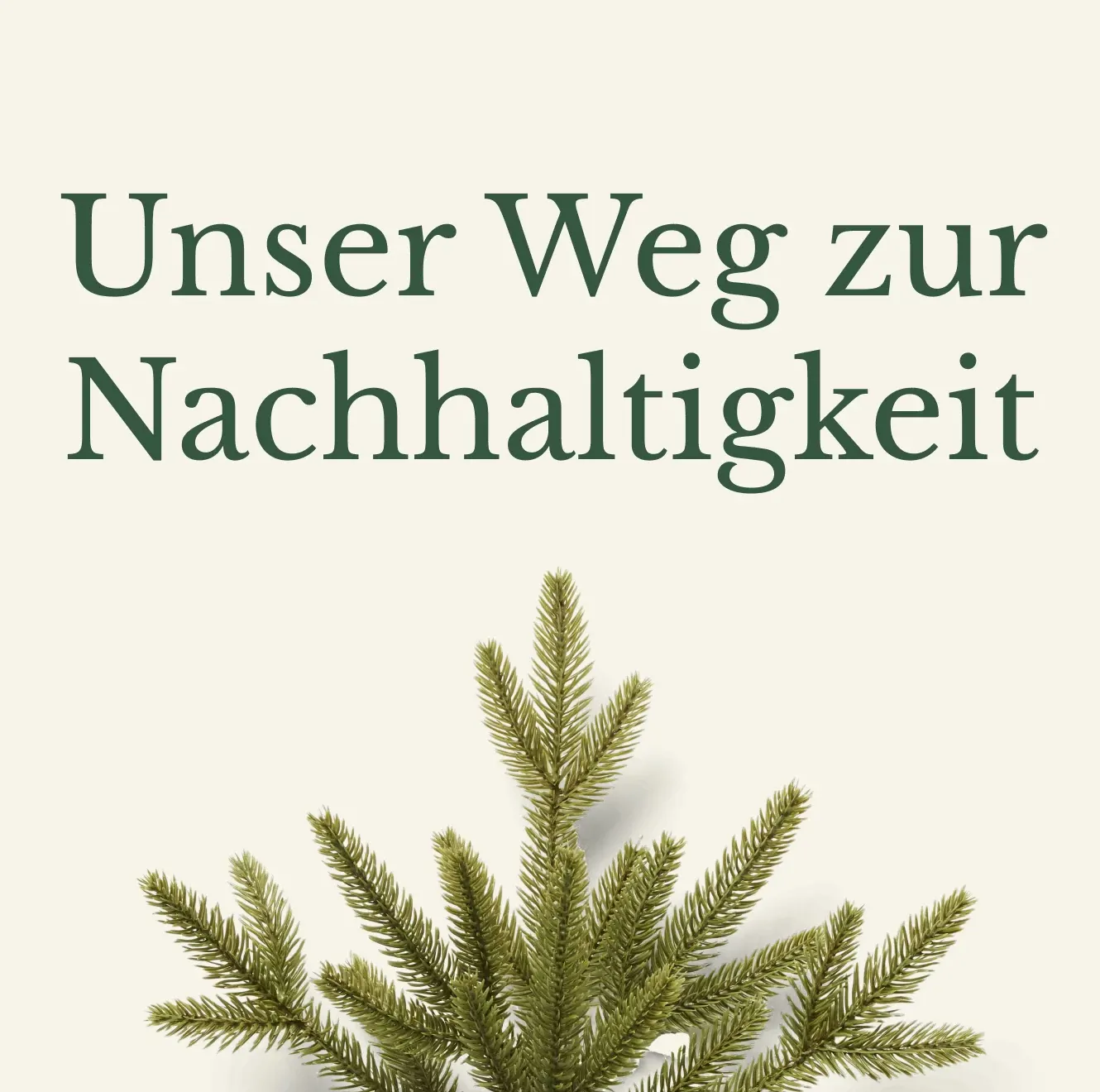 Beleuchtete Bäume ansehen