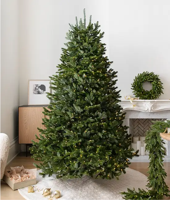 Compare Bestselling Trees