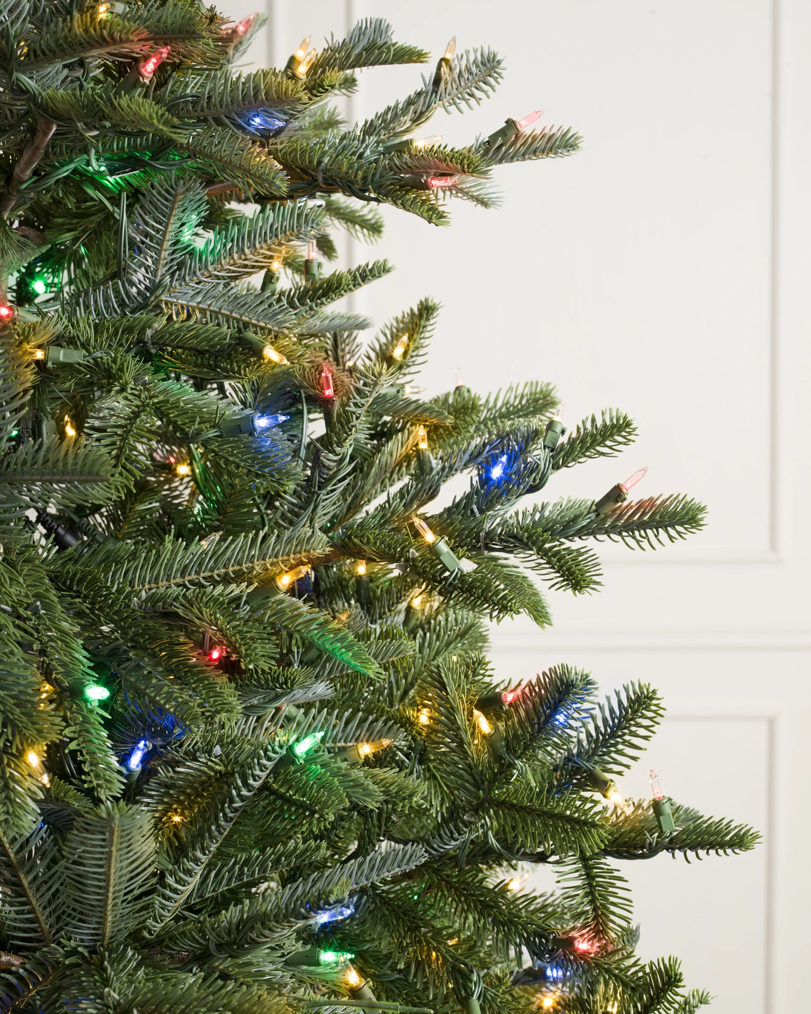 BH Nordmann Fir by Balsam Hill Color + Clear LED Lights Closeup 30
