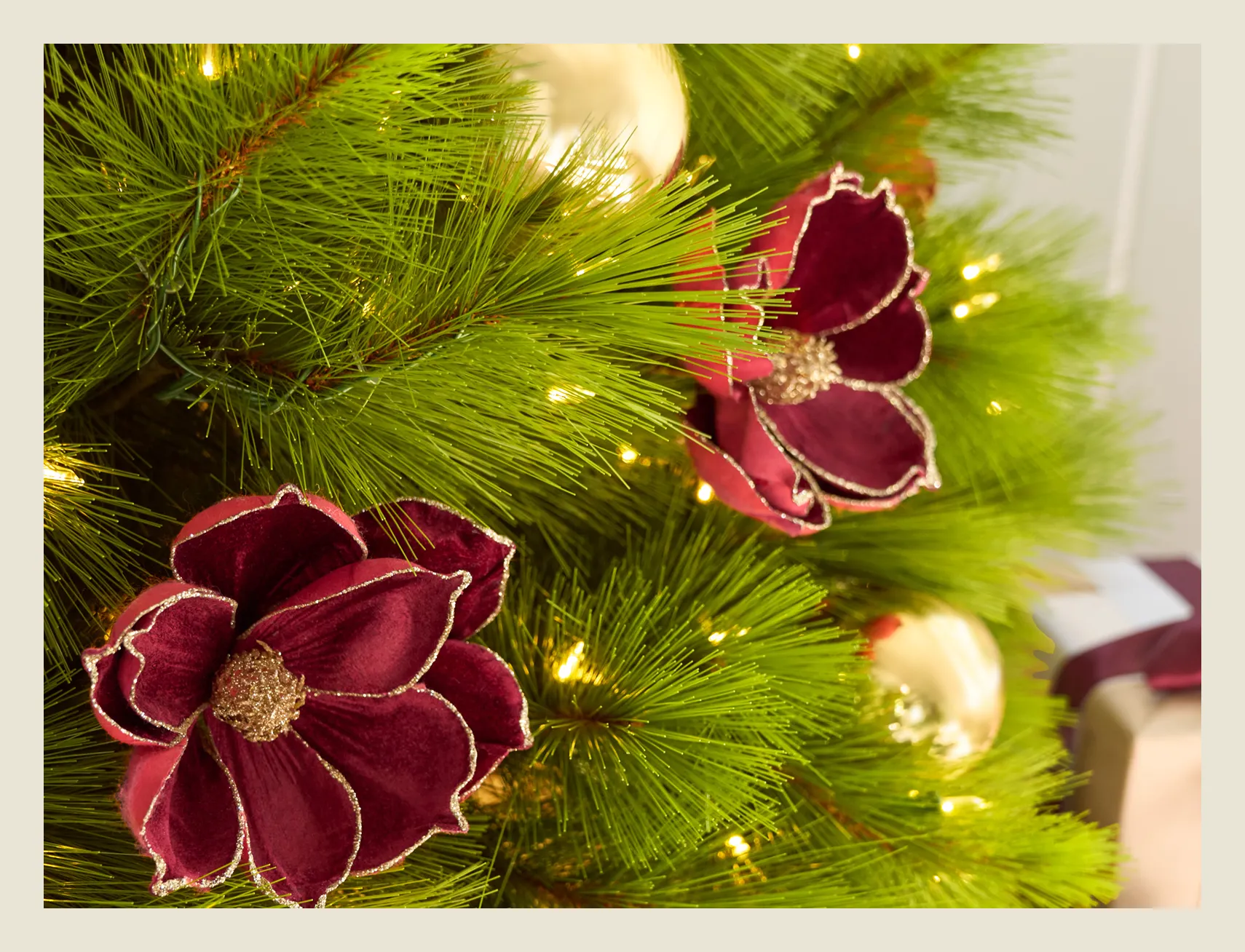 Featured: Burgundy Tree Picks
