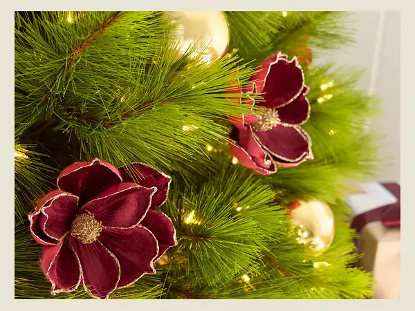 Featured: Burgundy Tree Picks