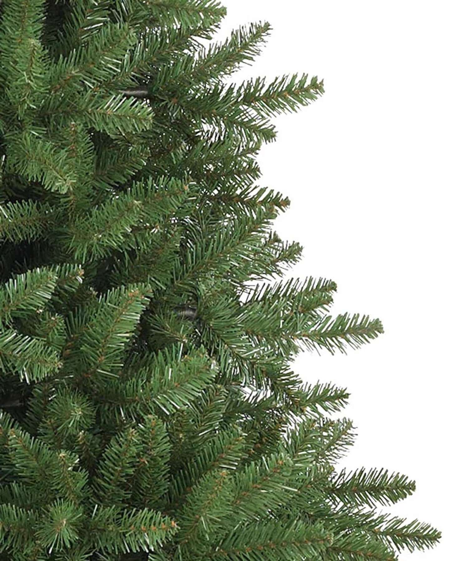 Balsam Hill Vancouver Spruce Artificial Christmas Tree Unlit Branch Closeup