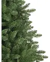 Vancouver Spruce Alt by Balsam Hill