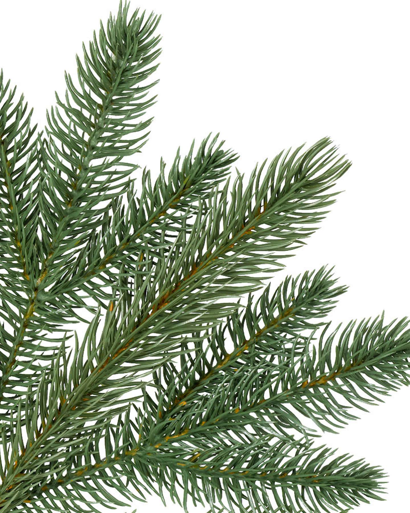 Balsam Hill Fifth Avenue Flatback Artificial Christmas Tree Detail View