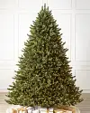 Vermont White Spruce Wide by Balsam Hill