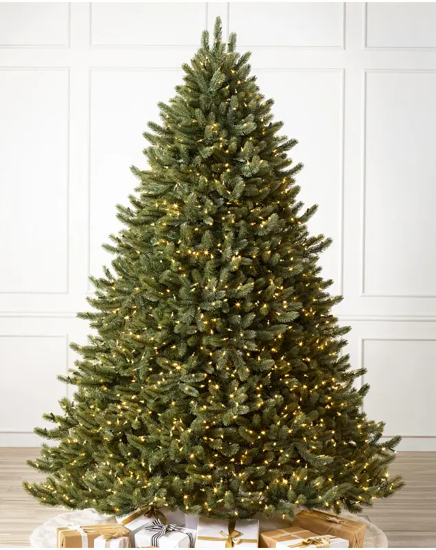 Vermont White Spruce Wide by Balsam Hill
