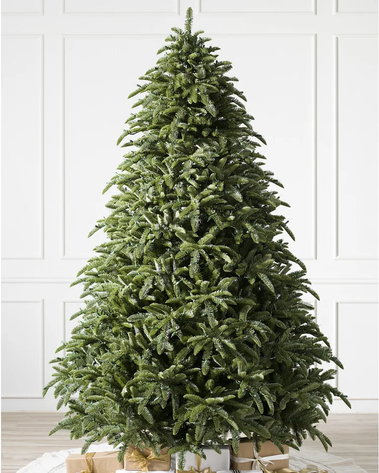 Noble fir best sale christmas tree